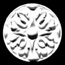 301vi.jpg (3320 bytes)