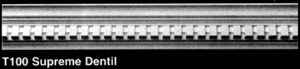 t100.jpg (9897 bytes)