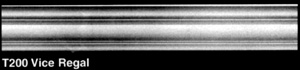 t200.jpg (8420 bytes)