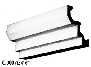 c300.JPG (13990 bytes)