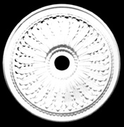 243vi.jpg (14273 bytes)