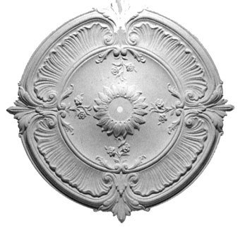 81031.jpg (39624 bytes)